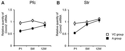 Perinatal Asphyxia in Rat Alters Expression of Novel Schizophrenia Risk Genes